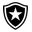 Botafogo de Futebol e Regatas