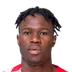Wilfried Singo